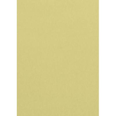 Clairefontaine Farbiges Papier A4 120g Chamois 50 Blatt