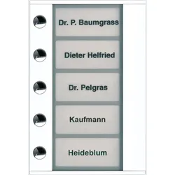 TCS Tür Control Audioaußenstation 1-reihig PDT05-WS/04