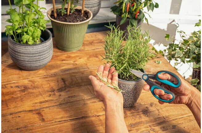 Gardena Sécateur HerbCut (12214-20)