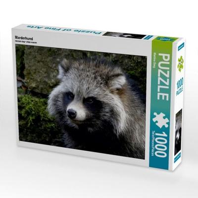 CALVENDO Puzzle Marderhund | 1000 Teile Lege-Größe 64x48cm Foto-Puzzle für glückliche Stunden