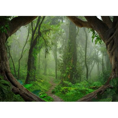 Fototapete LIVING WALLS "Designwalls Tropical Forest", grün (grün, braun), B:3,5m L:2,55m, Vlies, Tapeten, Vlies, Wand, Schräge, Decke