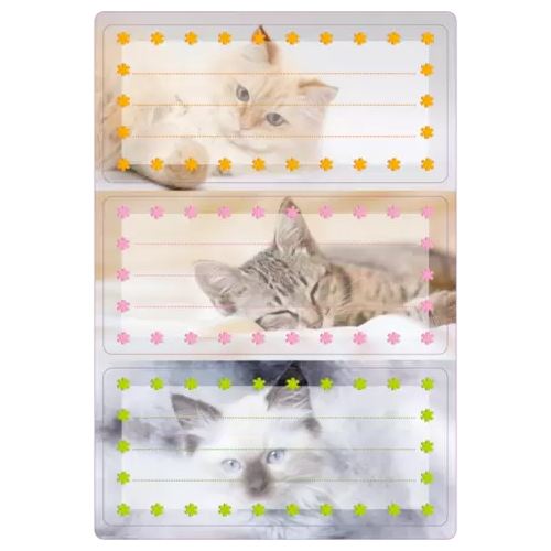 HERMA 6 Schuletiketten Katzen