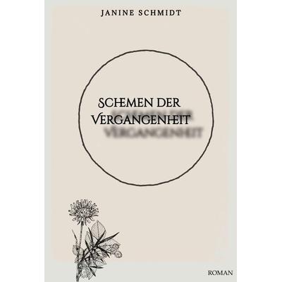 Schemen der Vergangenheit, Taschenbuch von Janine Schmidt, Tredition, 978-3-384-01120-6