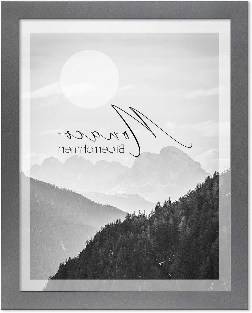Fotolijst Monaco Posterlijst Wisselframe Grijs - B/D/H: 61 x 915 cm