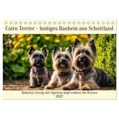 Cairn Terrier - lustiges Raubein aus Schottland (Tischkalender 2027 DIN A5 quer), CALVENDO Monatskalender