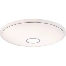 LED-Deckenleuchte Ross max. 30 Watt Deckenlampe
