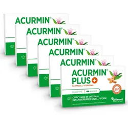 Stärkste Kurkuma Kapseln, 10.000 mg Curcuma – Acurmin PLUS® 360 St