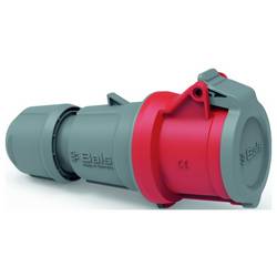 Bals Elektrotechnik 3118 3118 CEE Kupplung 1 St.