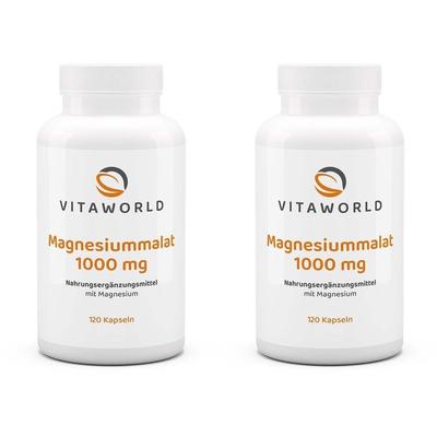 2x Magnesiummalat 1000 mg 2x120 St Kapseln