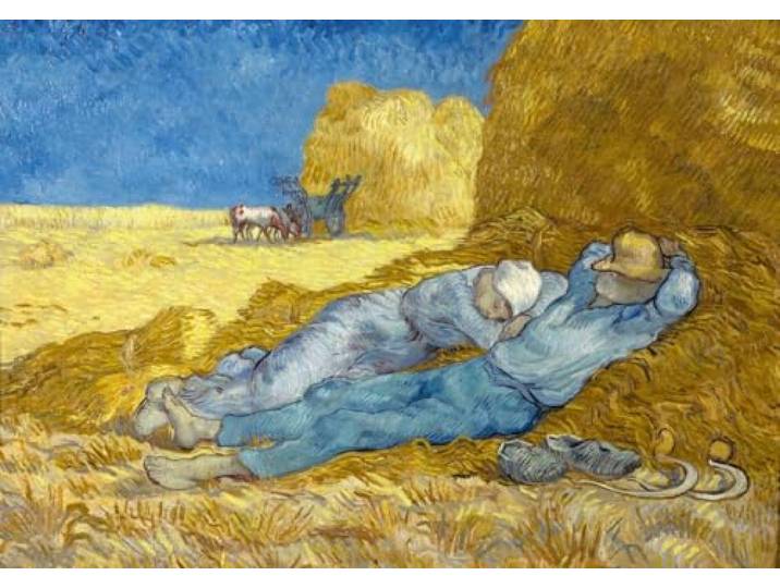 Bluebird puzzel Vincent Van Gogh - The siesta (after Millet), 1890 - 1000 stukjes