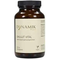 DYNAMIKPLUS Shilajit Vital Kapseln (90St)