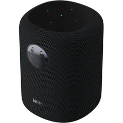 WiiM Sound Smart Speaker schwarz