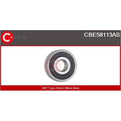 CASCO Lager CBE58113AS für IKA