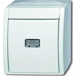 Busch-Jaeger Wipptaster, mit Beleuchtung 2621 WGL-54