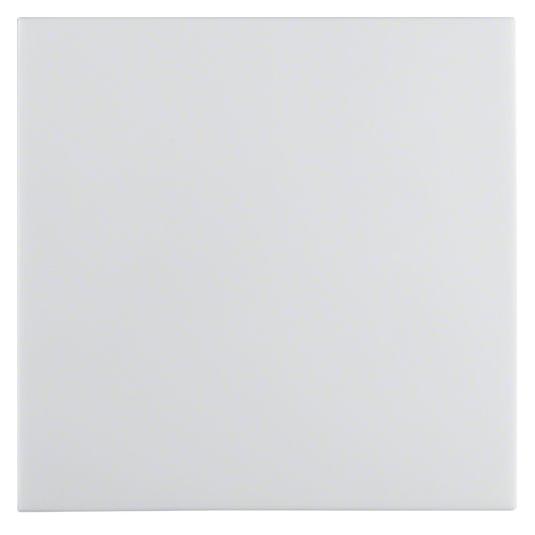 Berker 16298989 Zubehör für elektrische Schalter Rocker (16298989)