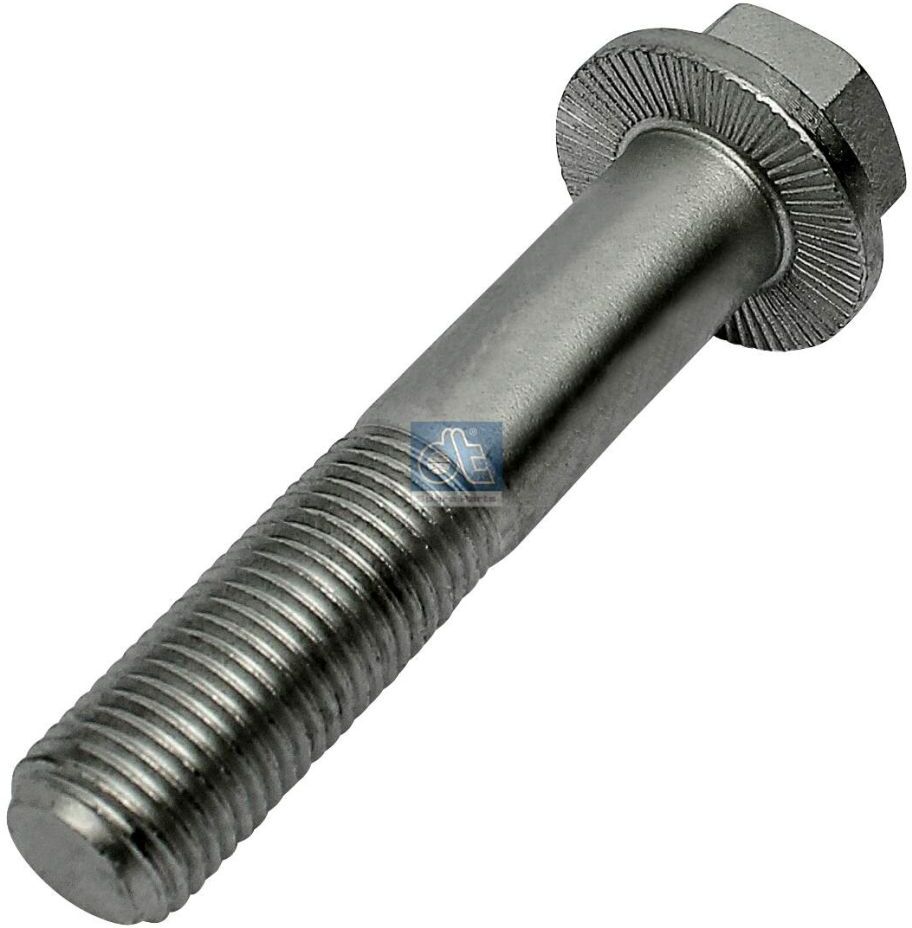Dt Spare Parts Viti a testa esagonale zincate DT 3.89615