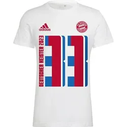 ADIDAS Herren Fanshirt FC Bayern München Meister, Größe S in Pink Pink