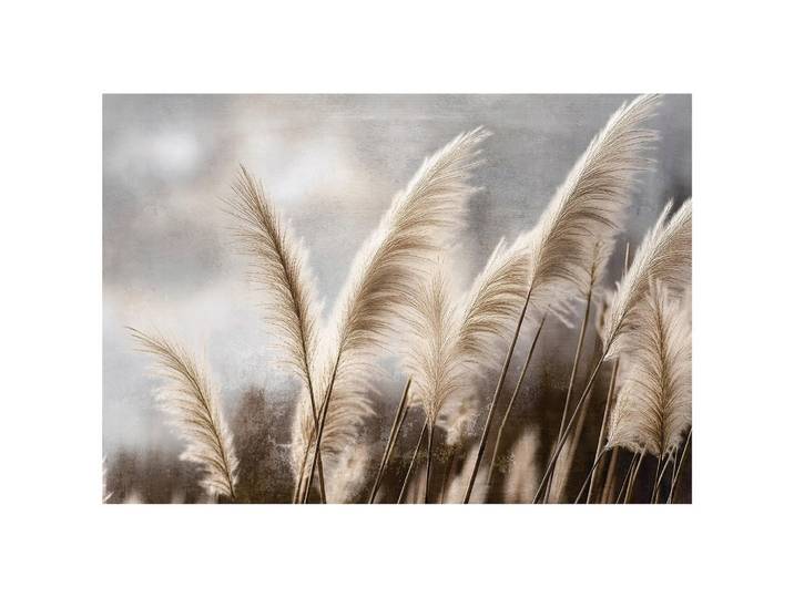 FOTOTAPETE Pampasgras Natur Beige 416x254 cm
