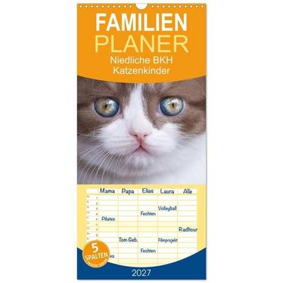 Familienplaner 2027 - Niedliche BKH Katzenkinder mit 5 Spalten (Wandkalender, 21 x 45 cm) CALVENDO