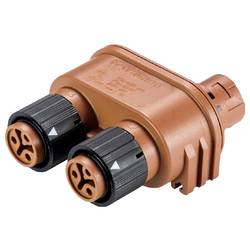 Wieland Electric 46.030.1355.4 Verteiler