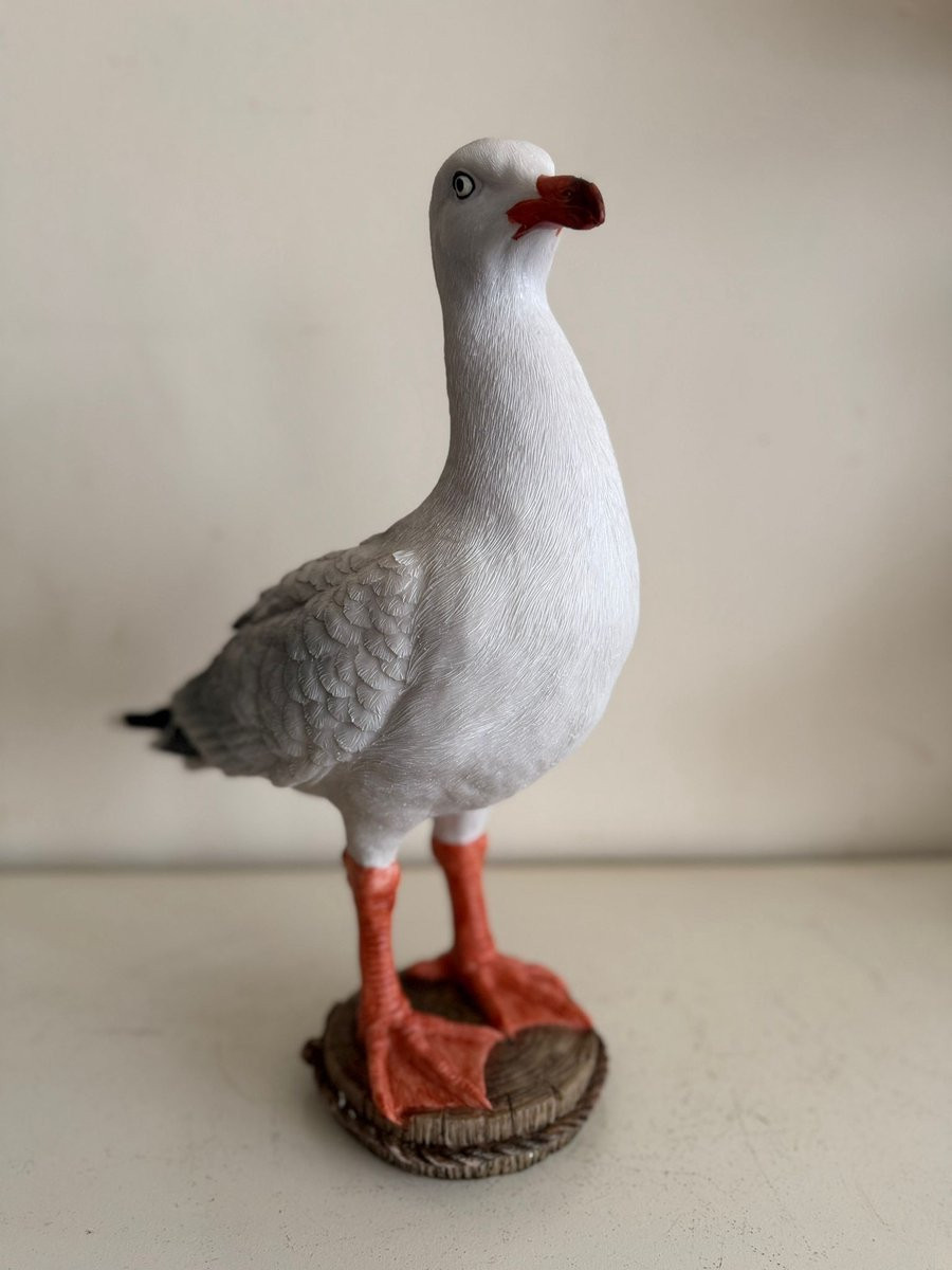 Goodyz Wilde dieren Vogels Meeuw decoratie - 40 cm hoog