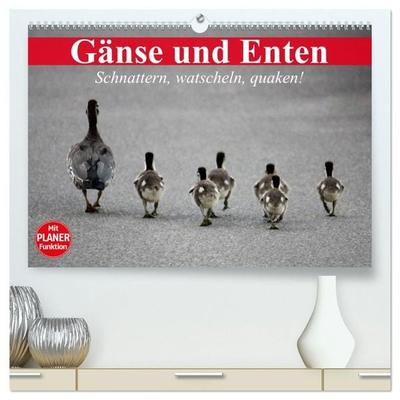 Gänse und Enten. Schnattern, watscheln, quaken! (hochwertiger Premium Wandkalender 2027 DIN A2 quer), Kunstdruck in Hochglanz