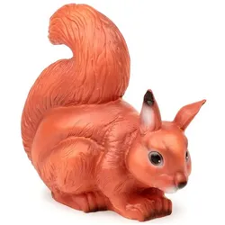 Egmont, Nachtlicht, Eichhörnchen