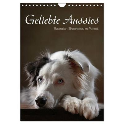 Geliebte Aussies - Australian Shepherds im Portrait (Wandkalender 2027 DIN A4 hoch), CALVENDO Monatskalender