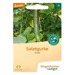 Salatgurke - Arola