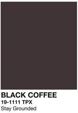Uplift Essentials Caffeinated Narrative Canvas High Definition Skeleton Line Art Architectural Art style 6 19.7 In X 27.5 In