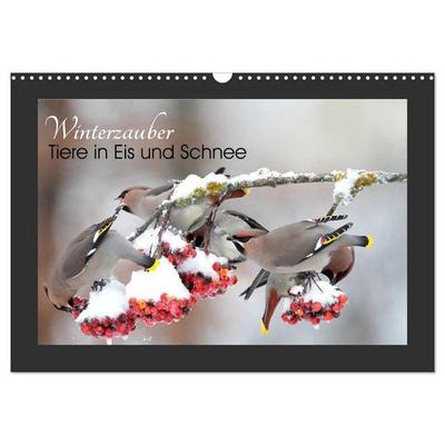 Winterzauber - Tiere in Eis und Schnee (Wandkalender 2026 DIN A3 quer), CALVENDO Monatskalender