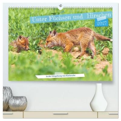 Unter Füchsen und Hirschen (hochwertiger Premium Wandkalender 2027 DIN A2 quer), Kunstdruck in Hochglanz