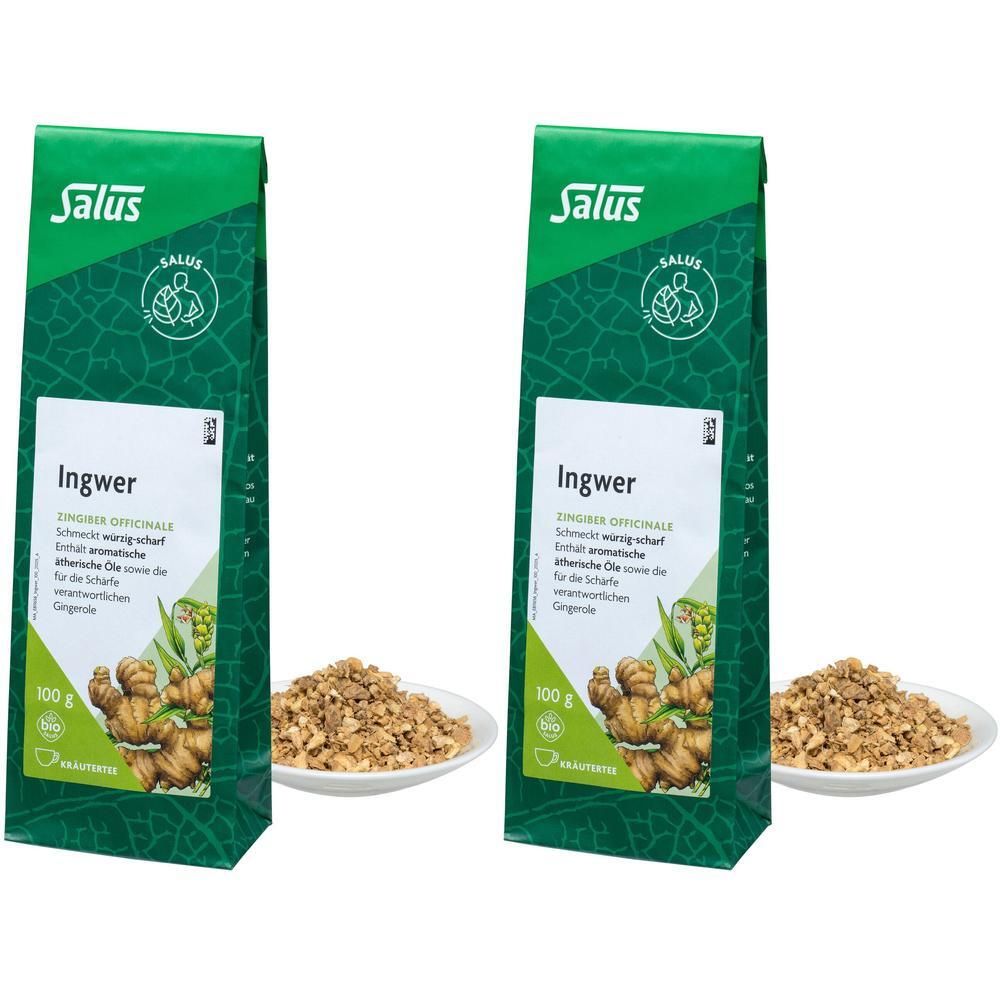 Ingwer Gewuerztee Zingiber Bio 2x 2x100 g Tee
