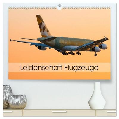 Leidenschaft Flugzeuge (hochwertiger Premium Wandkalender 2026 DIN A2 quer), Kunstdruck in Hochglanz