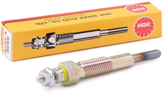 NGK 6628 Candeletta