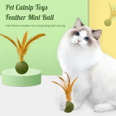 Inspire Curations MintyPaws Catnip Ball Toy Edible Cat Mint Treat & Teeth Cleaning Toy 2pcs