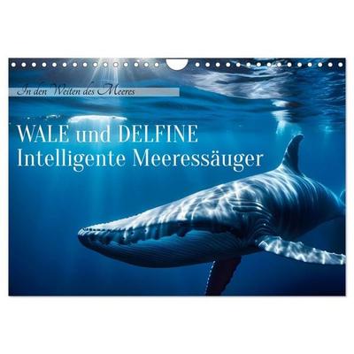 Wale und Delfine - Intelligente Meeressäuger (Wandkalender 2026 DIN A4 quer), CALVENDO Monatskalender