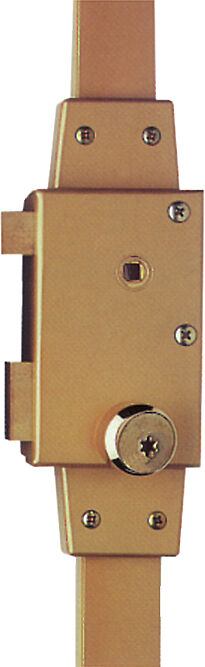Mécanisme CAVITH 4572 A2P* verticale fouillot or gauche ISEO 9704VFCA05.5