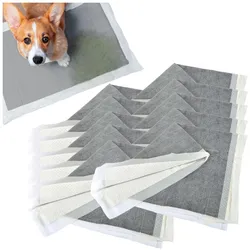 Lola Toys Trainingsunterlagen für Hunde, 60 Stk, mit Aktivkohle, auslaufsicher, je 90 x 60 cm (Hund), Tierhygiene