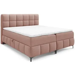 BOXBETT Sophie In Aragon