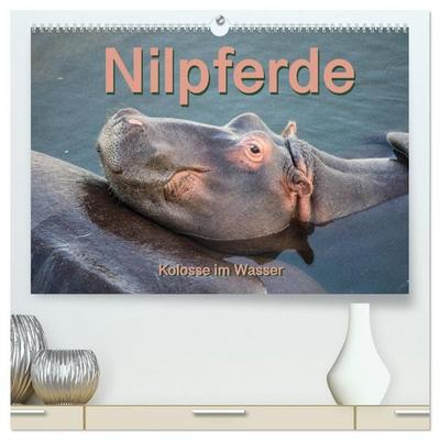 Nilpferde, Kolosse im Wasser (hochwertiger Premium Wandkalender 2027 DIN A2 quer), Kunstdruck in Hochglanz