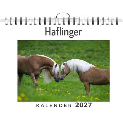 Haflinger