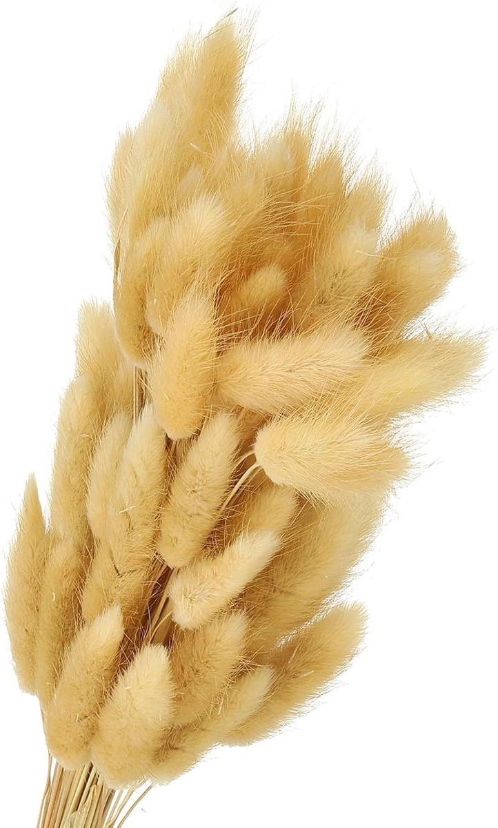 150 stuks Gedroogde Konijnenstaartgras Bloemen - Beige - 40 cm