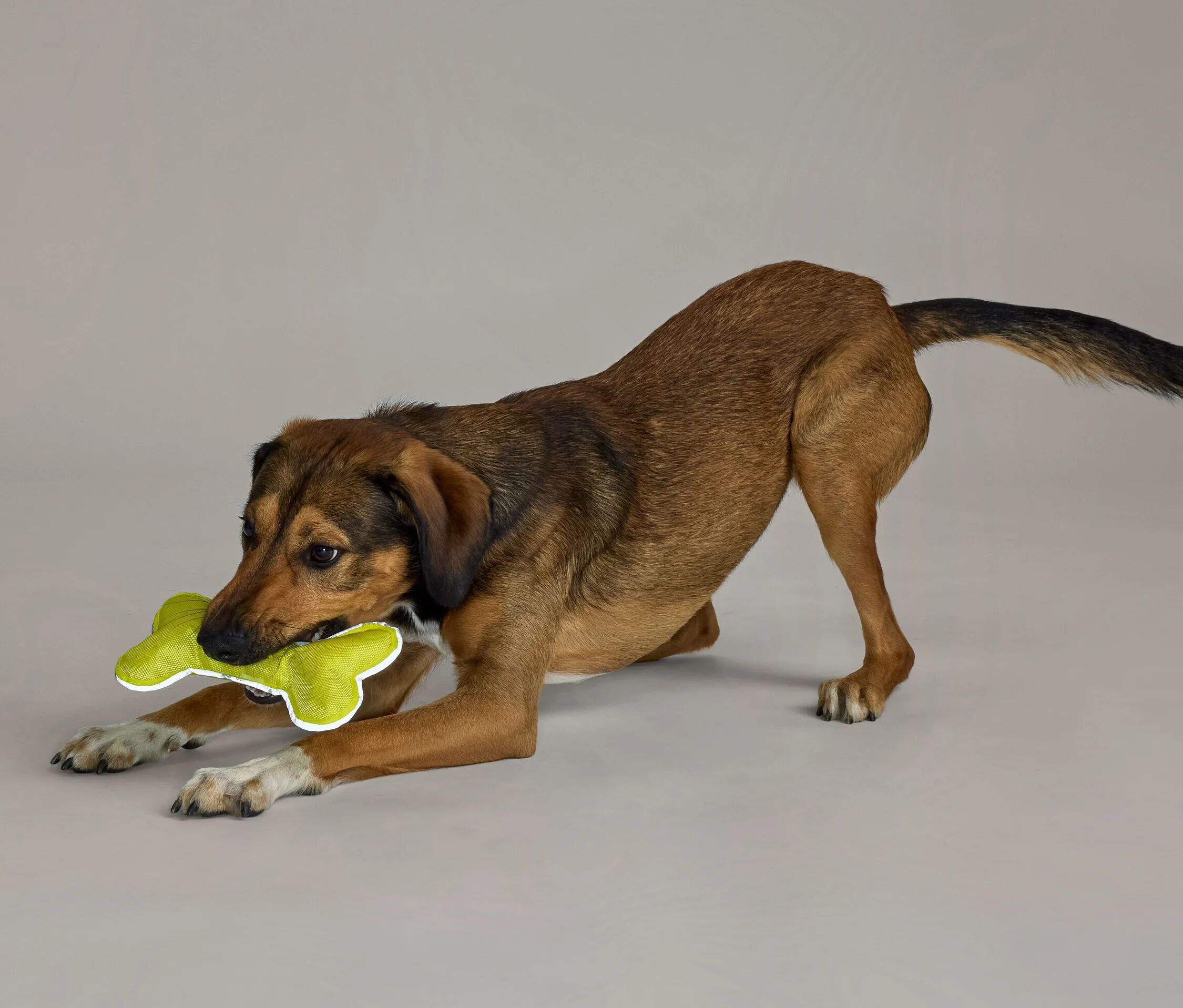 Tchibo - Hundespielzeug »Knochen« - silber