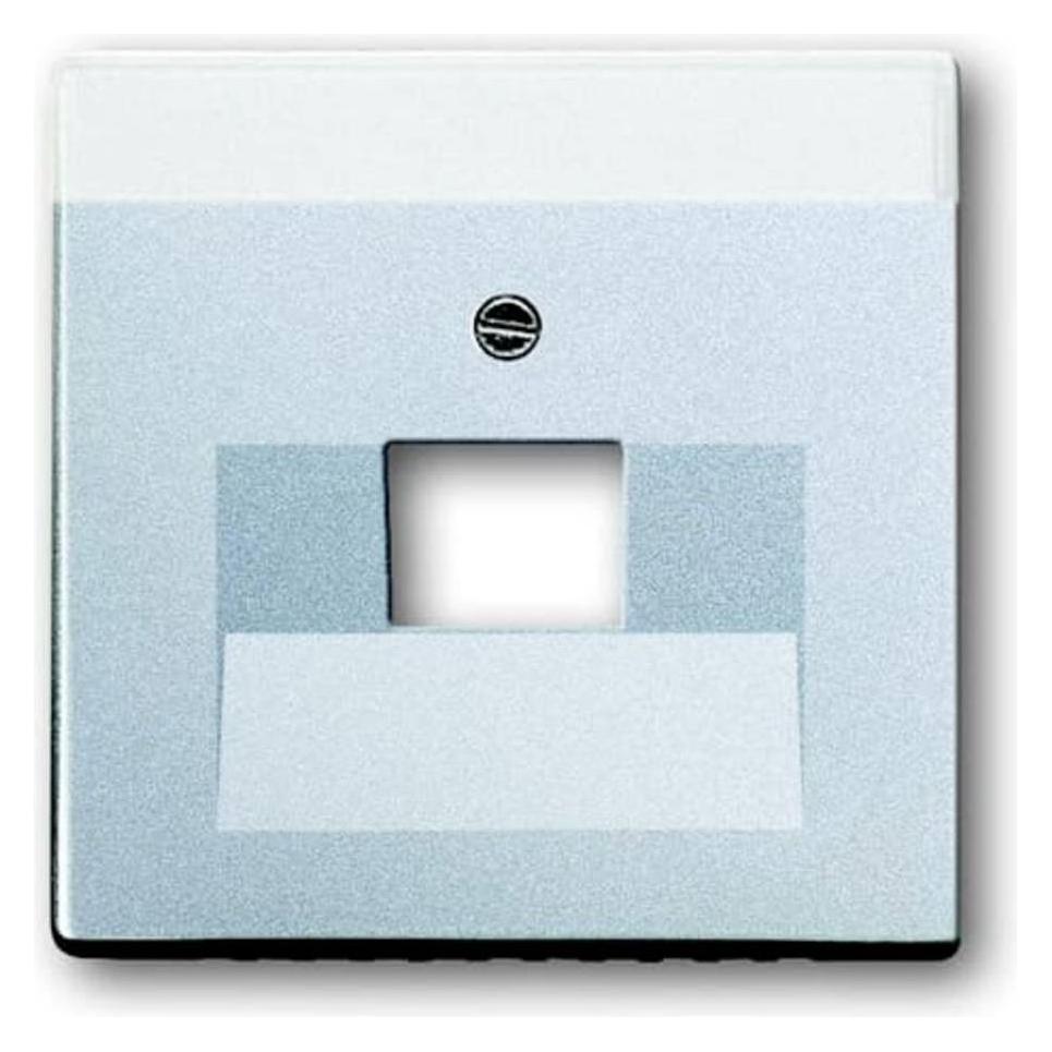 Busch-Jaeger Zentralscheibe (2CKA001710A3674)