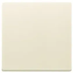 Busch-Jaeger 6735BT-82 Wippe 1-fach für Bedienelement Smart Switch Plattform 63 2CKA006730A0143 6735BT82