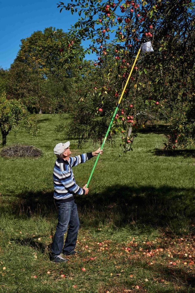 Freund Victoria Obstpflückset 13 cm Ø