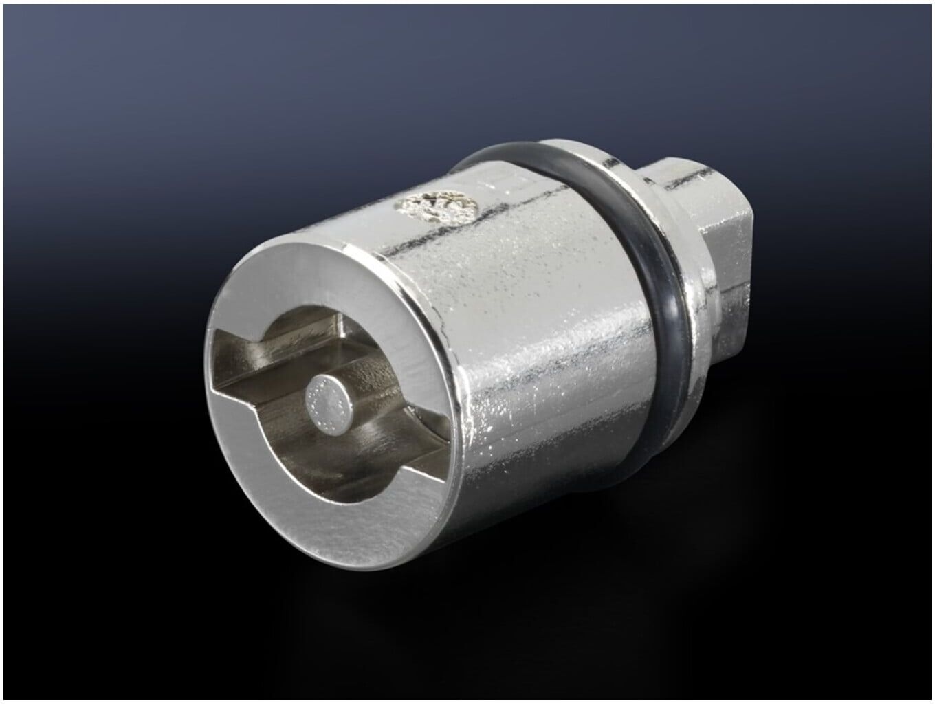 Rittal Verschlußeinsatz L=27mm Doppelbart SZ 2466.000 (2466000)