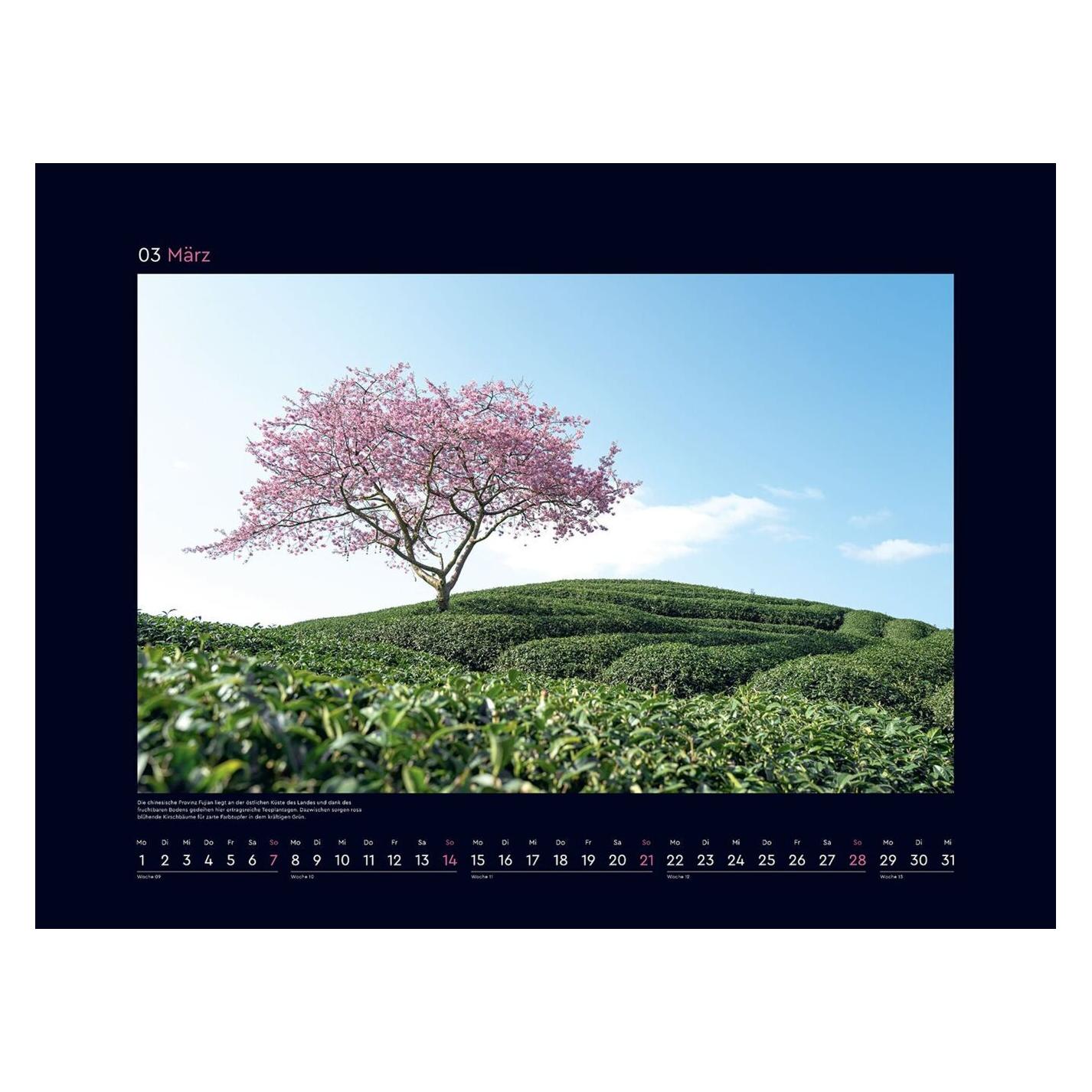 Kunth Aufgeblüht - Wandkalender 2027 (69303294)
