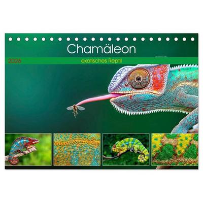 Chamäleon - exotisches Reptil (Tischkalender 2026 DIN A5 quer), CALVENDO Monatskalender